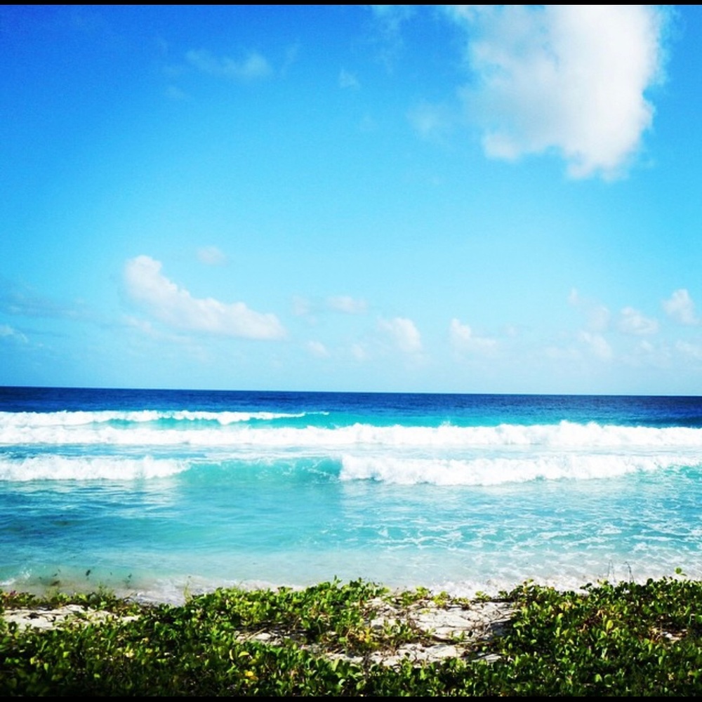 Meet your Posher, Victoria